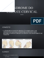 Síndrome Do Chicote Cervical