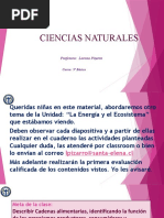 Cadenas Alimentarias