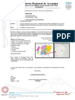 Informe Visita Mollebaya