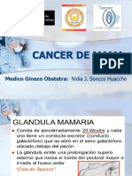 Clase CANCER DE MAMA Dra Nidia Soncco