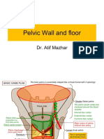 01.pelvic Wall and Floor