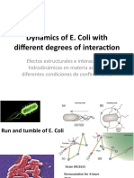 Dynamics of E. Coli With Different Degrees of Interaction