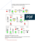 MAP PROCESSO