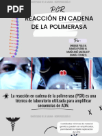 Reacción en Cadena de La Polimerasa
