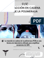 PCR-REACCION CADENA POLIMERASA