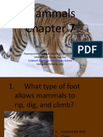 Mammals: Powerpoint Created & Shared by Jamie Miller Fifth & Sixth Grade Teacher Idaho Conference, USA