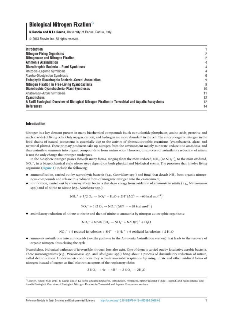 Understanding Biological Nitrogen Fixation | PDF | Cyanobacteria ...