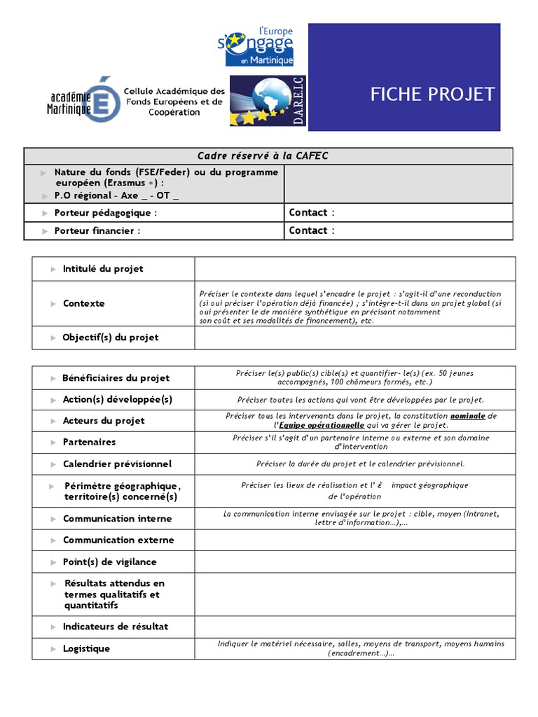 Fiche Projet : Guide de Présentation | PDF | Économie