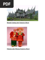 7 STANDAR PROMOSI KESEHATAN