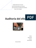 Auditoria Del Efectivo