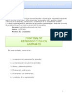 Taller Reproduccion en Animales