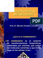 14 Introduccion Al Metabolismo