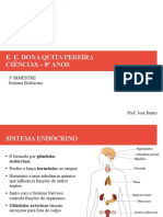 02 Sistema Endócrino