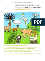 Guía Ciencias Naturales Primer año animales y plantas de Chile.