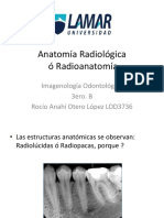 Anatomía Radiológica