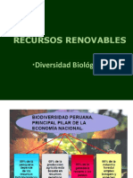 7 Biodiversidad