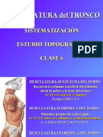 Clase 6 - Musculos Del Tronco