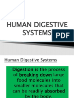 HUMAN DIGESTIVE SYSTEMS