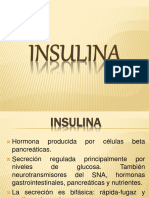 Insulina: Hormona reguladora de la glucosa
