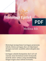 Histologi Epitel MEL