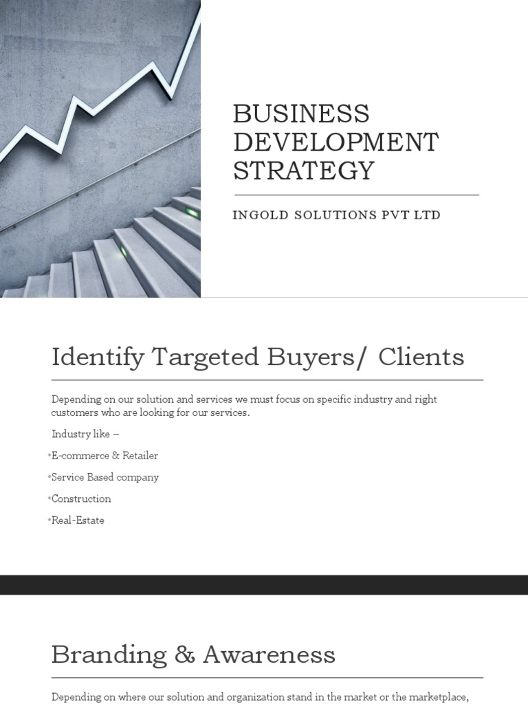 Business Development Strategy: Ingold Solutions PVT LTD | PDF