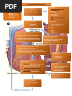 Viii. Pathophysiology