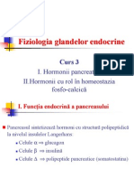 Endo-Curs3[1]