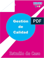 Gestion de Calidad - Trabajo Final