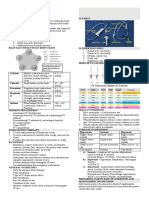 Prelims - GMJ SL - Module 1 Fluids & Electrolytes: Lactated Ringers, D5 Water, Plain Normal Saline