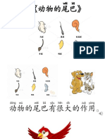 小故事 - M27 - 《动物的尾巴》