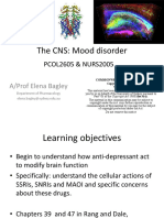 2019 Mood Disorders and Antidepressants