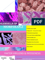 Xirrr - Klebisella Pneumoniae