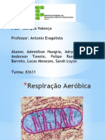 Apresentação sobre Respiração Aeróbica