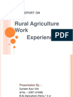 Rural Agriculture Work Experience: Eport On