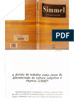 Simmel - A Divisão Do Trabalho Como Causa Da Diferenciação Da Cultura Subjetiva e Objetiva