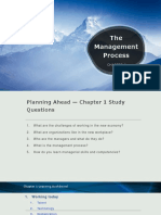 THE MANAGEMENT PROCESS