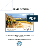 Informe General PDF