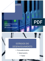 2-Desenvolvimento Do SN