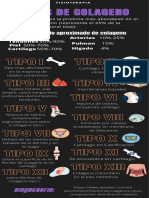 Infografia Tipos de Colageno