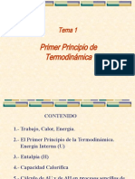 Tema 1-Primer Principio