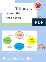 Life Processes