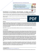 Morphological and Biochemical Characterization of Isolated Aspergillus Niger