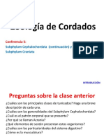 Cefalocordados y Craneados.