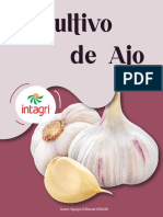 El cultivo de ajo