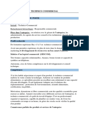 Fiche de Poste Technico Commercial | PDF