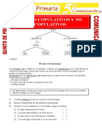 Verbos-Copulativos-y-No-Copulativos-para-Quinto-de-Primaria