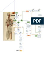 Bioquimica Metabolismo de Carbohidraos