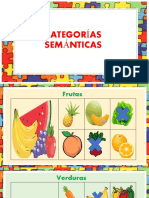 Categorias Semanticas