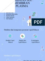 Pembatas Sel Membran Plasma