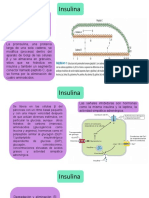 Insulinas